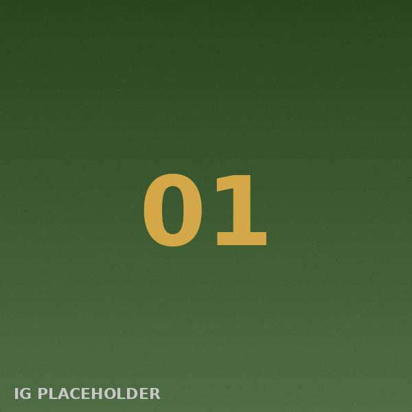 wwhitebears instagram