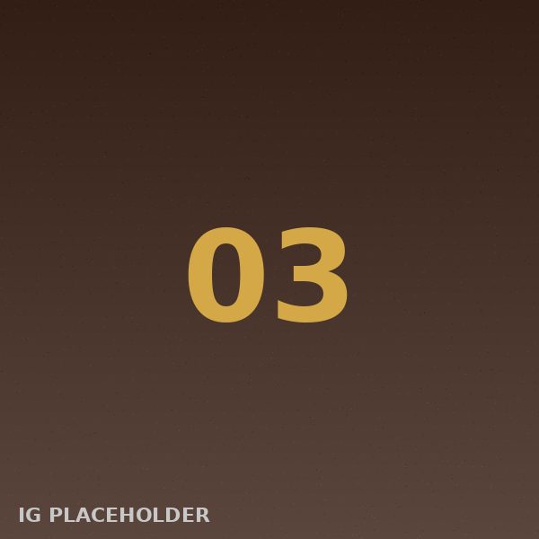 wwhitebears instagram