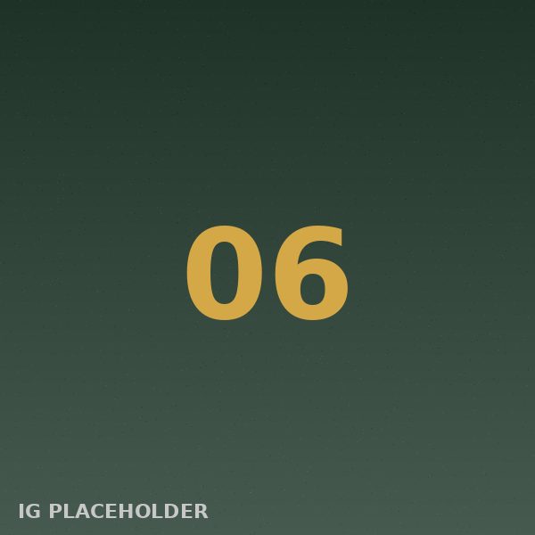 wwhitebears instagram